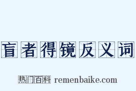 盲者得镜反义词是什么意思的图片